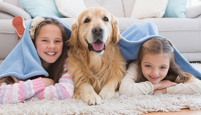 Children and pet dog enjoying the comfortable temperature in their home.